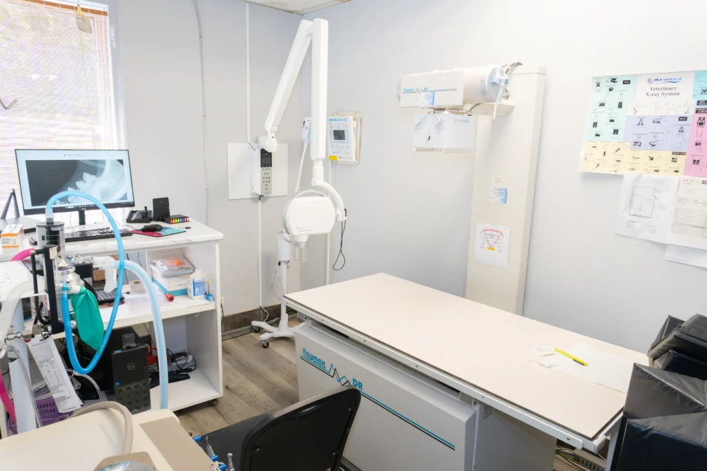 New Patient Center