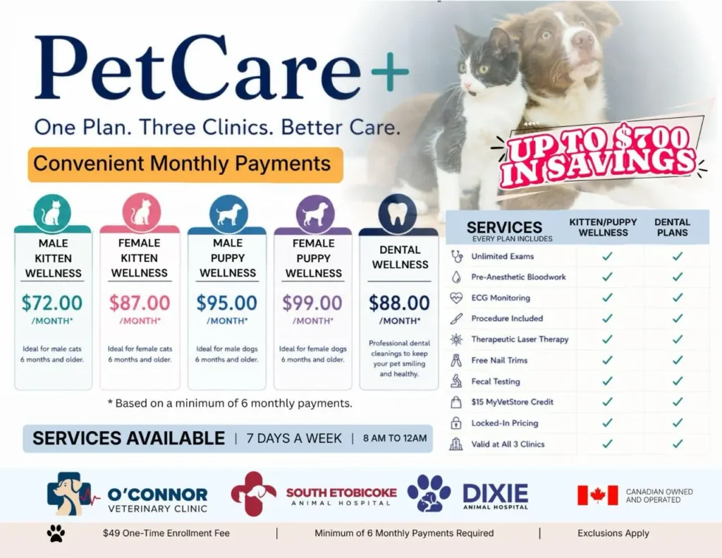 PetCare+ monthly wellness plan pricing and included services, valid at all three of our clinics.