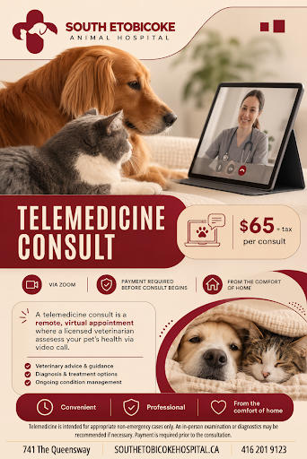 Telemedicine Consults